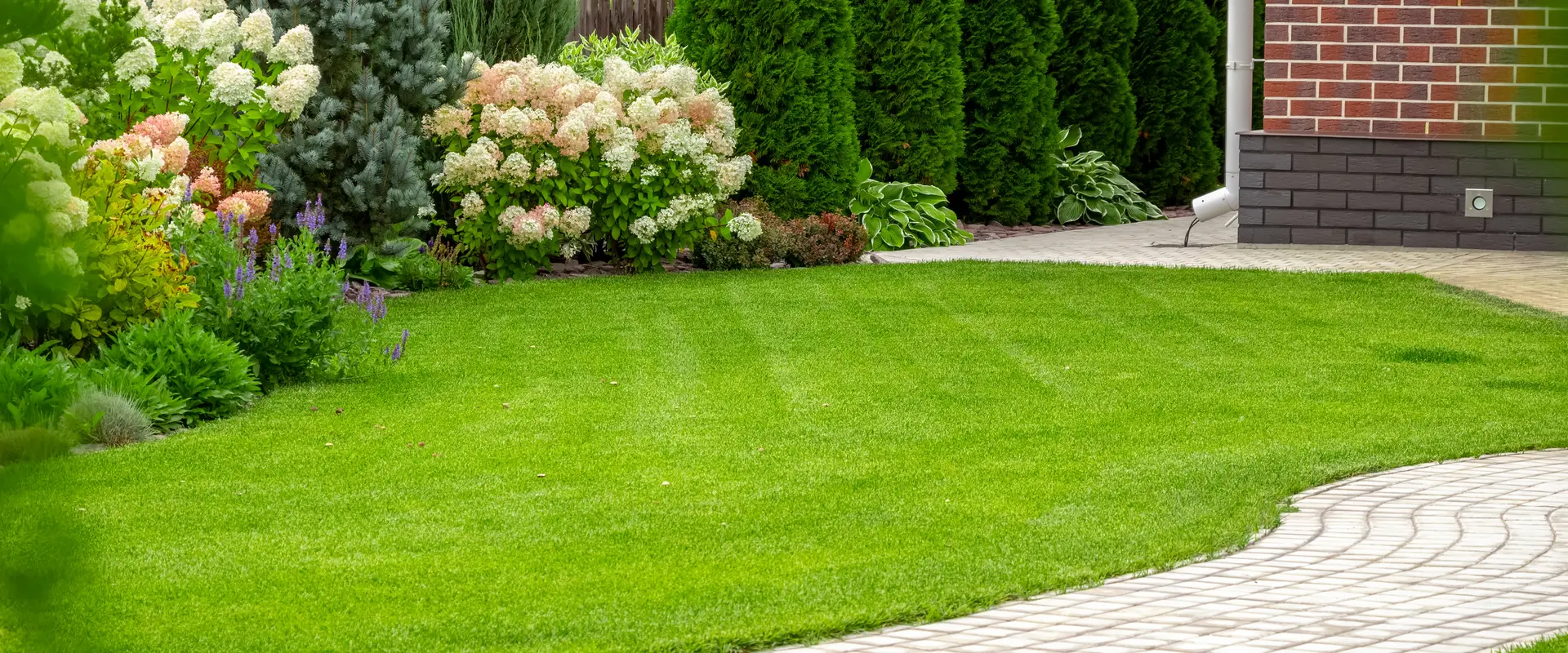 a lawn with flowers