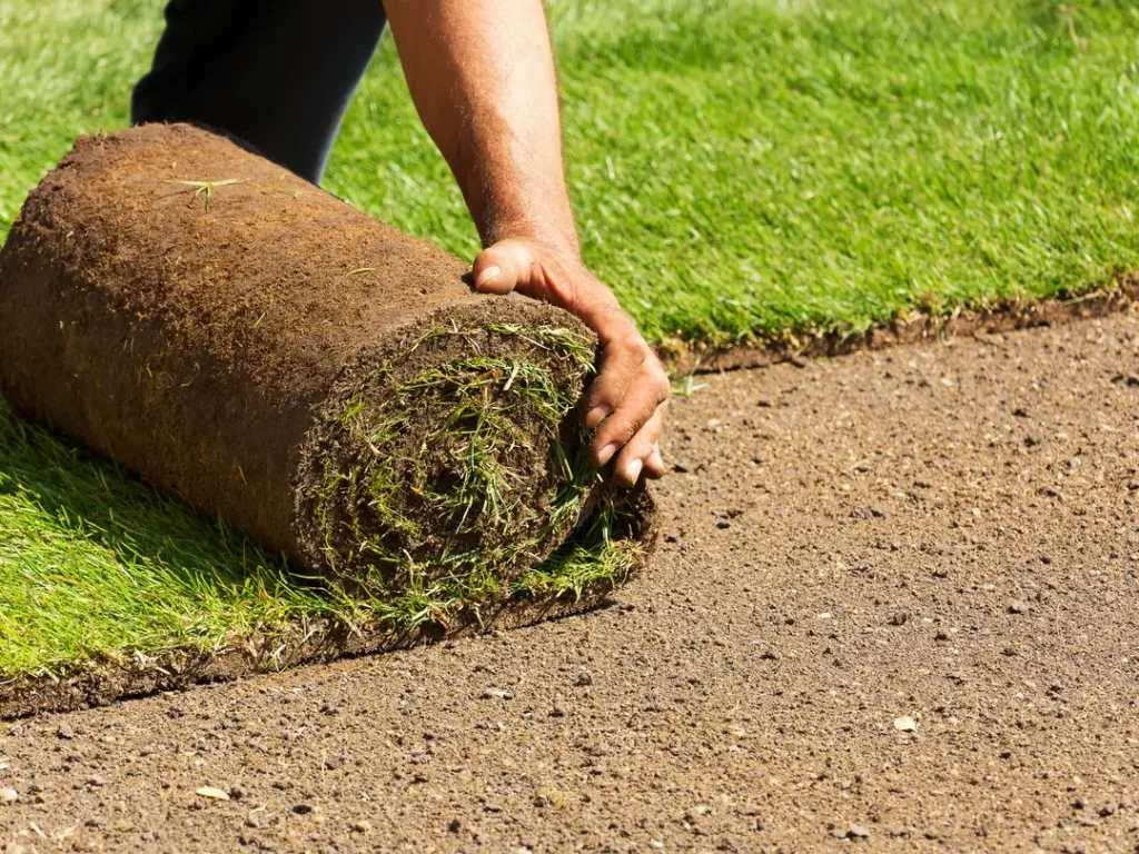 a person holding a roll of turf with dirt and grass in the background